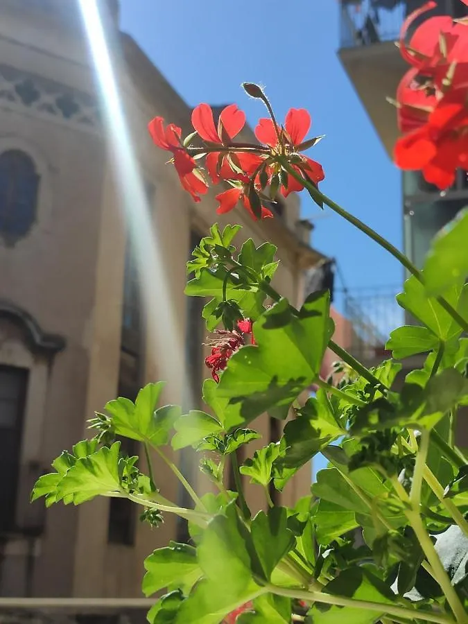 Casta Diva Holiday Rooms Catania 0*,  Italy