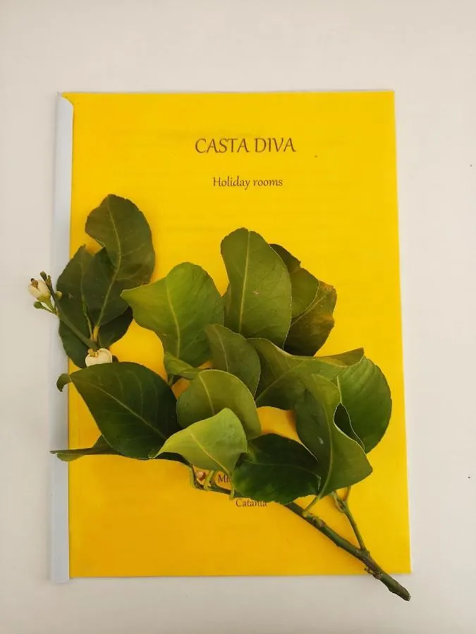 Guest house Casta Diva Holiday Rooms Catania